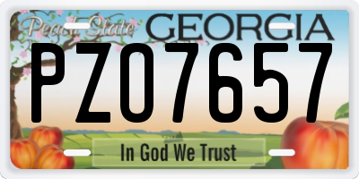 GA license plate PZO7657