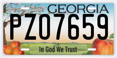 GA license plate PZO7659