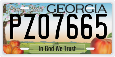 GA license plate PZO7665