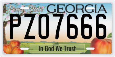 GA license plate PZO7666