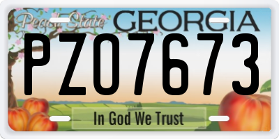 GA license plate PZO7673