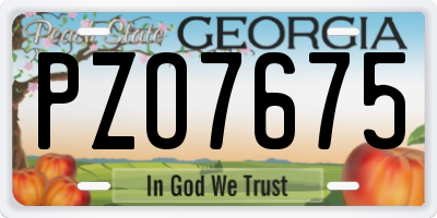 GA license plate PZO7675