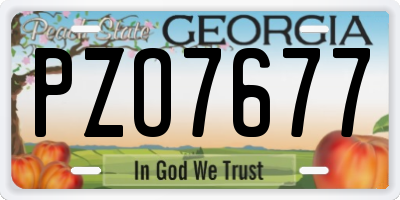 GA license plate PZO7677