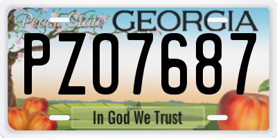 GA license plate PZO7687