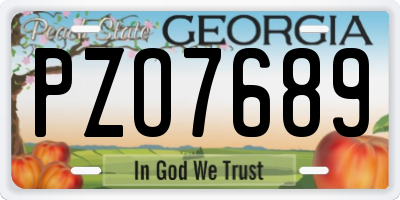 GA license plate PZO7689