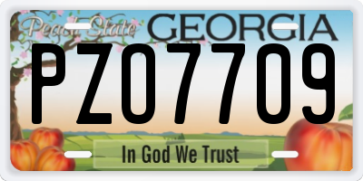 GA license plate PZO7709