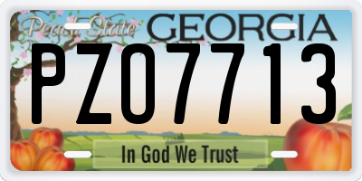 GA license plate PZO7713