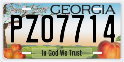 GA license plate PZO7714