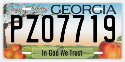 GA license plate PZO7719