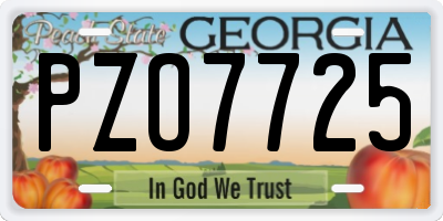 GA license plate PZO7725