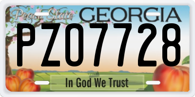 GA license plate PZO7728