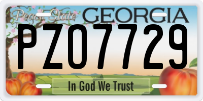 GA license plate PZO7729