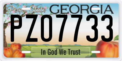 GA license plate PZO7733