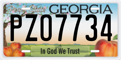 GA license plate PZO7734