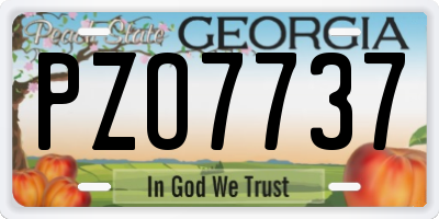 GA license plate PZO7737