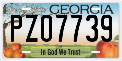 GA license plate PZO7739