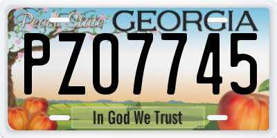 GA license plate PZO7745