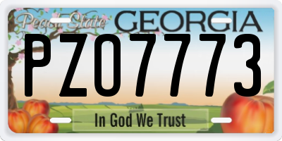 GA license plate PZO7773