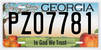 GA license plate PZO7781