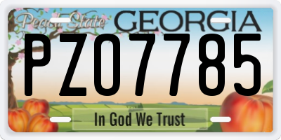 GA license plate PZO7785