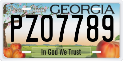 GA license plate PZO7789