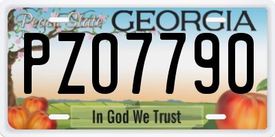 GA license plate PZO7790