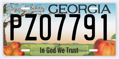 GA license plate PZO7791