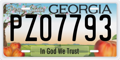 GA license plate PZO7793