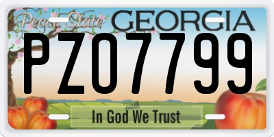 GA license plate PZO7799