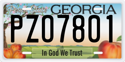 GA license plate PZO7801