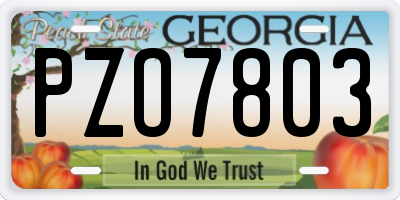 GA license plate PZO7803