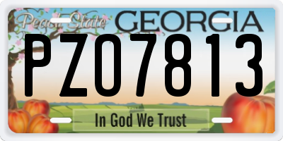 GA license plate PZO7813