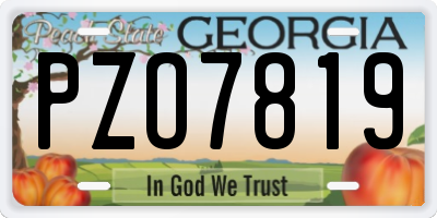 GA license plate PZO7819