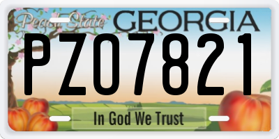 GA license plate PZO7821