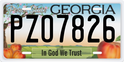 GA license plate PZO7826