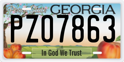 GA license plate PZO7863