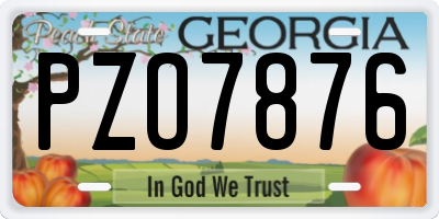 GA license plate PZO7876
