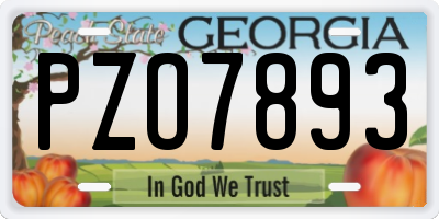 GA license plate PZO7893