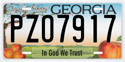GA license plate PZO7917