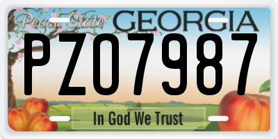 GA license plate PZO7987