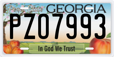 GA license plate PZO7993