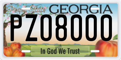 GA license plate PZO8000
