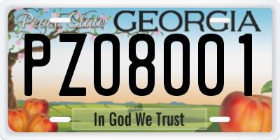 GA license plate PZO8001