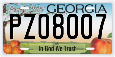 GA license plate PZO8007