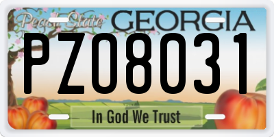 GA license plate PZO8031