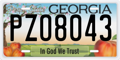 GA license plate PZO8043