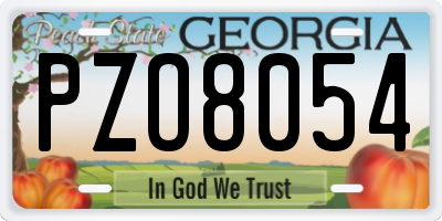 GA license plate PZO8054