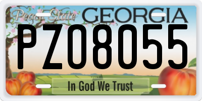 GA license plate PZO8055