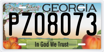 GA license plate PZO8073