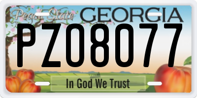GA license plate PZO8077